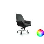 Офисное кресло для руководителя Channel-M Co (низкая спинка)